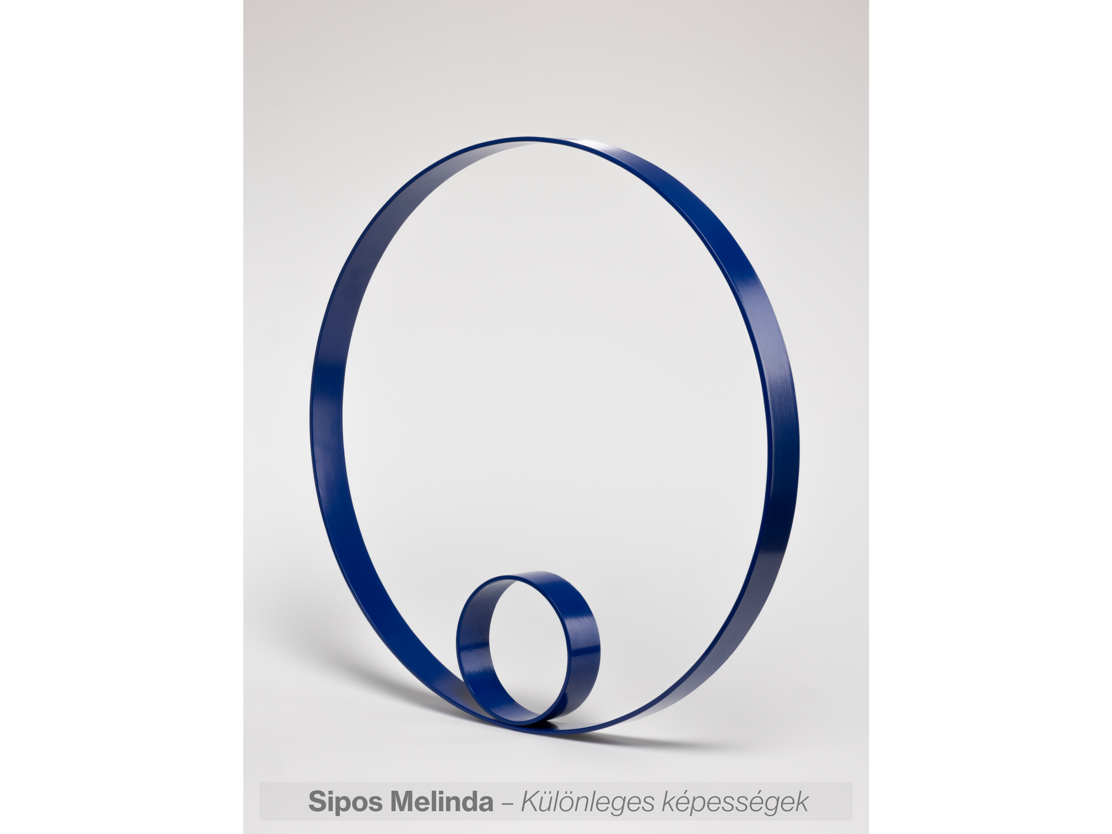 Sipos Melinda – Különleges képességek Fém karika alkotás