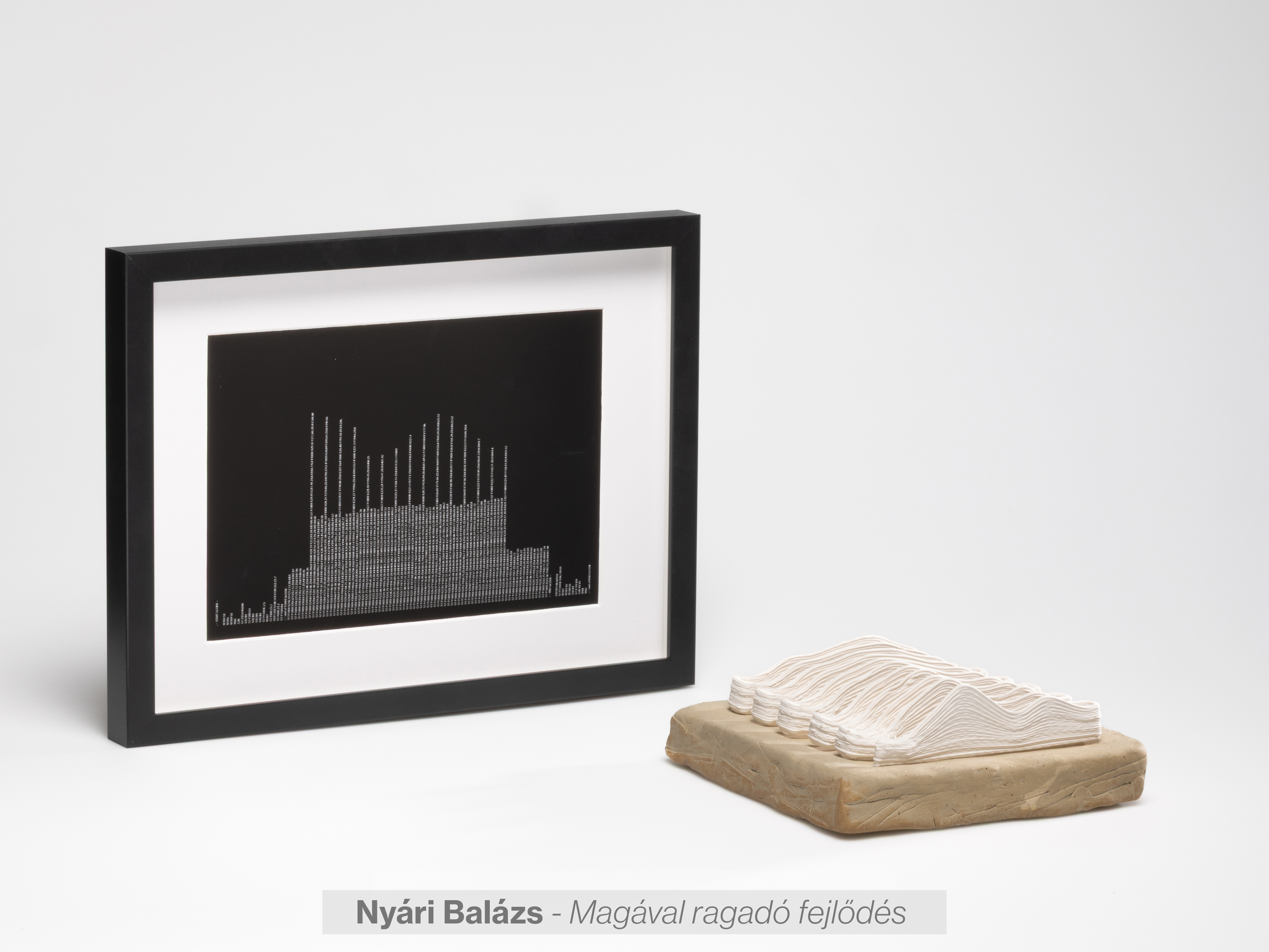 Nyári Balázs - Magával ragadó fejlődés 3D nymtatott alkotás